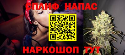 мдпв Гусев