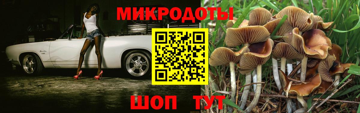 Псилоцибиновые грибы мухоморы Когалым